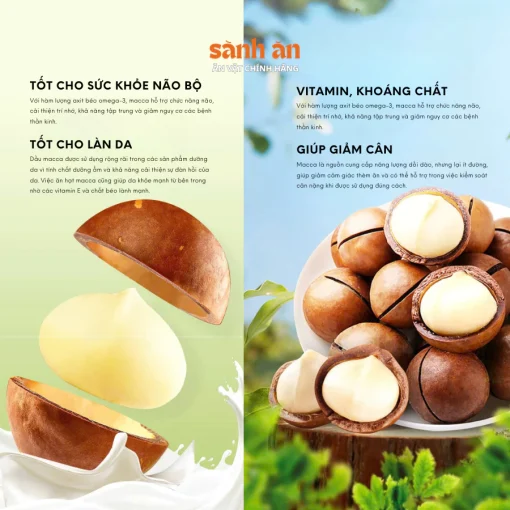 Hạt Macca Nguyên Chất SÀNH ĂN 250g - Hạt Mắc Ca Sạch, Giàu Dinh Dưỡng, Snack Tốt Cho Sức Khỏe - Ảnh 6