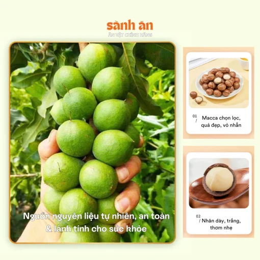 Hạt Macca Nguyên Chất SÀNH ĂN 250g - Hạt Mắc Ca Sạch, Giàu Dinh Dưỡng, Snack Tốt Cho Sức Khỏe - Ảnh 4